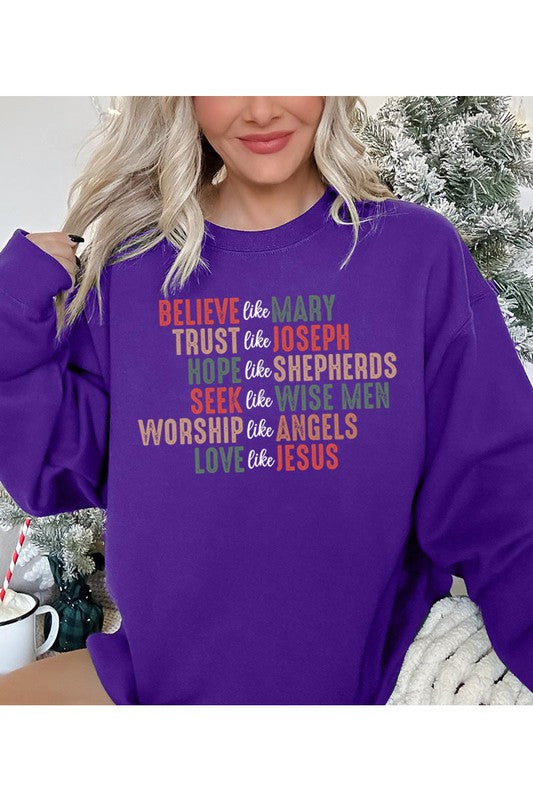 Believe Seek Sweatshirt